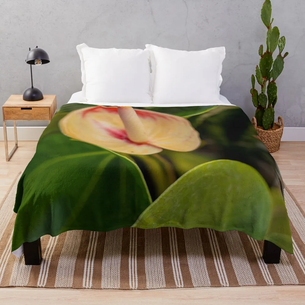 Elegant Anthurium: Vibrant Red Floral Beauty Throw Blanket Bed covers Blankets For Baby wednesday Blankets