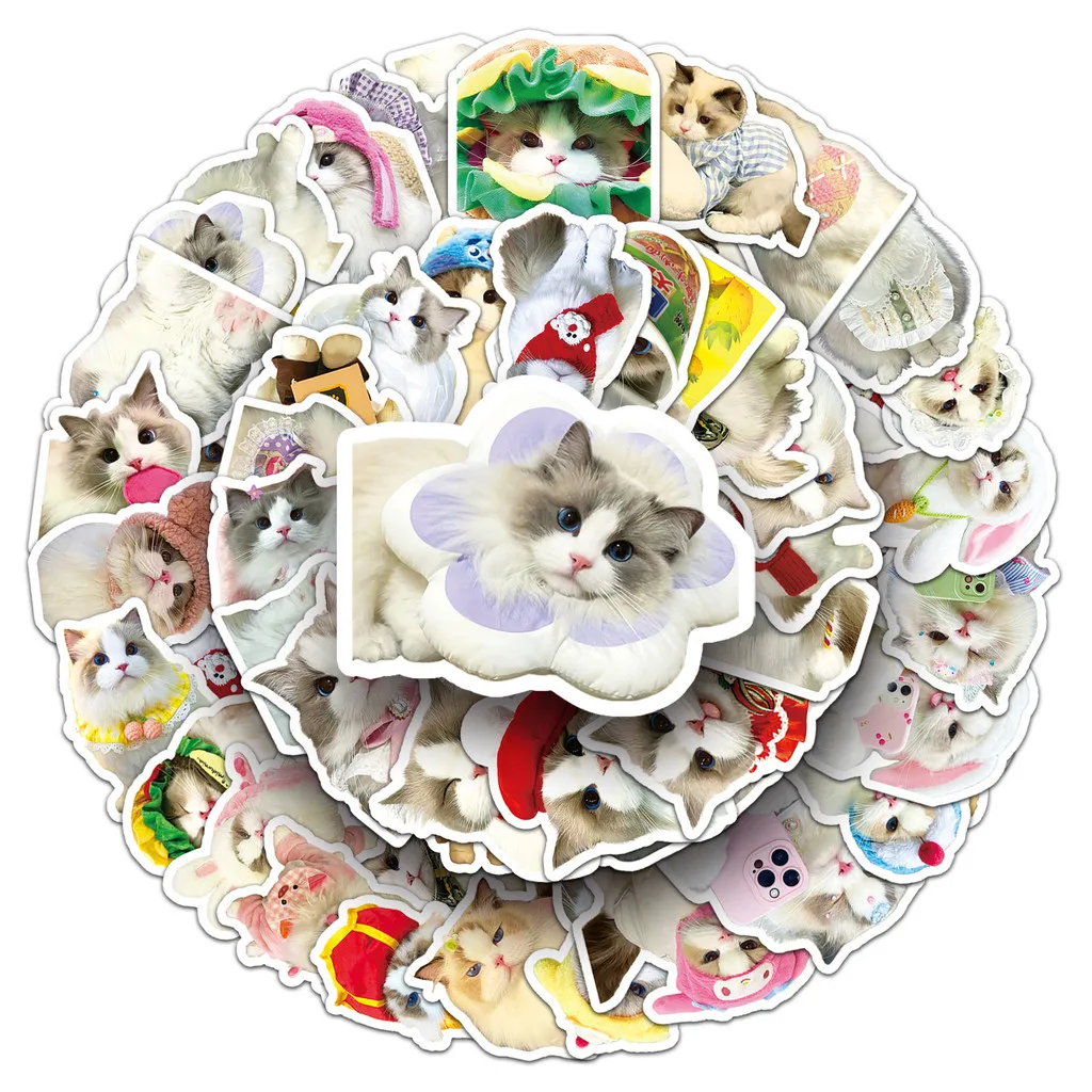 50 szt. naklejek z kotami Ragdoll - urocze, kreskówkowe dekoracje dla zwierząt na butelkę z wodą/laptop - wodoodporne, sklep RecordingYourLife