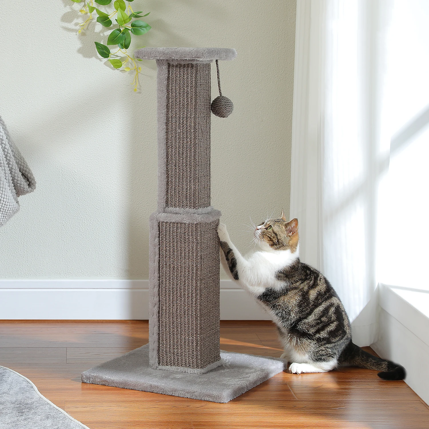 80CM Cat Scratching Post with Natural Sisal Ball, Cat Scratcher, Indoor Scratch Post, Large Cats and Kitten Toys