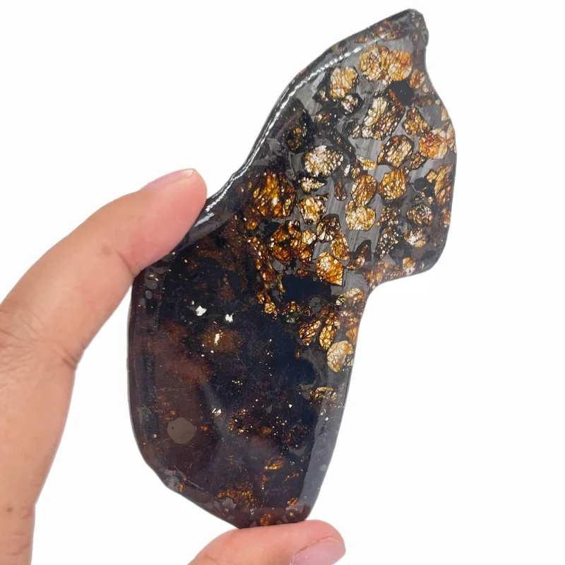 Natural Sericho Pallasite Olive Meteorite Slice Polished Irregular Meteorite Mineral Specimen For Collection Display QA900