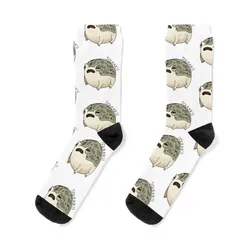 Chaussettes de pluie mignonnes pour hommes et femmes, bas d'Halloween, chaussettes de grenouille du désert