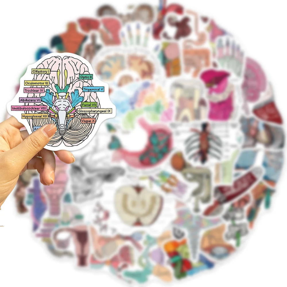 50pcs Cartoon Science Organ Anatomy Stickers For Phone Case Laptop Scrapbook Guitar Sticker Handmade Craft Supplies Vintage