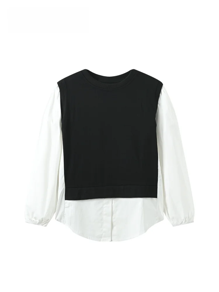 

Loose Long Sleeve round Neck Sweatshirt Women plus Size Spring Fashionable Casual Cotton Top Age Reducing Versatile Loose Shirt