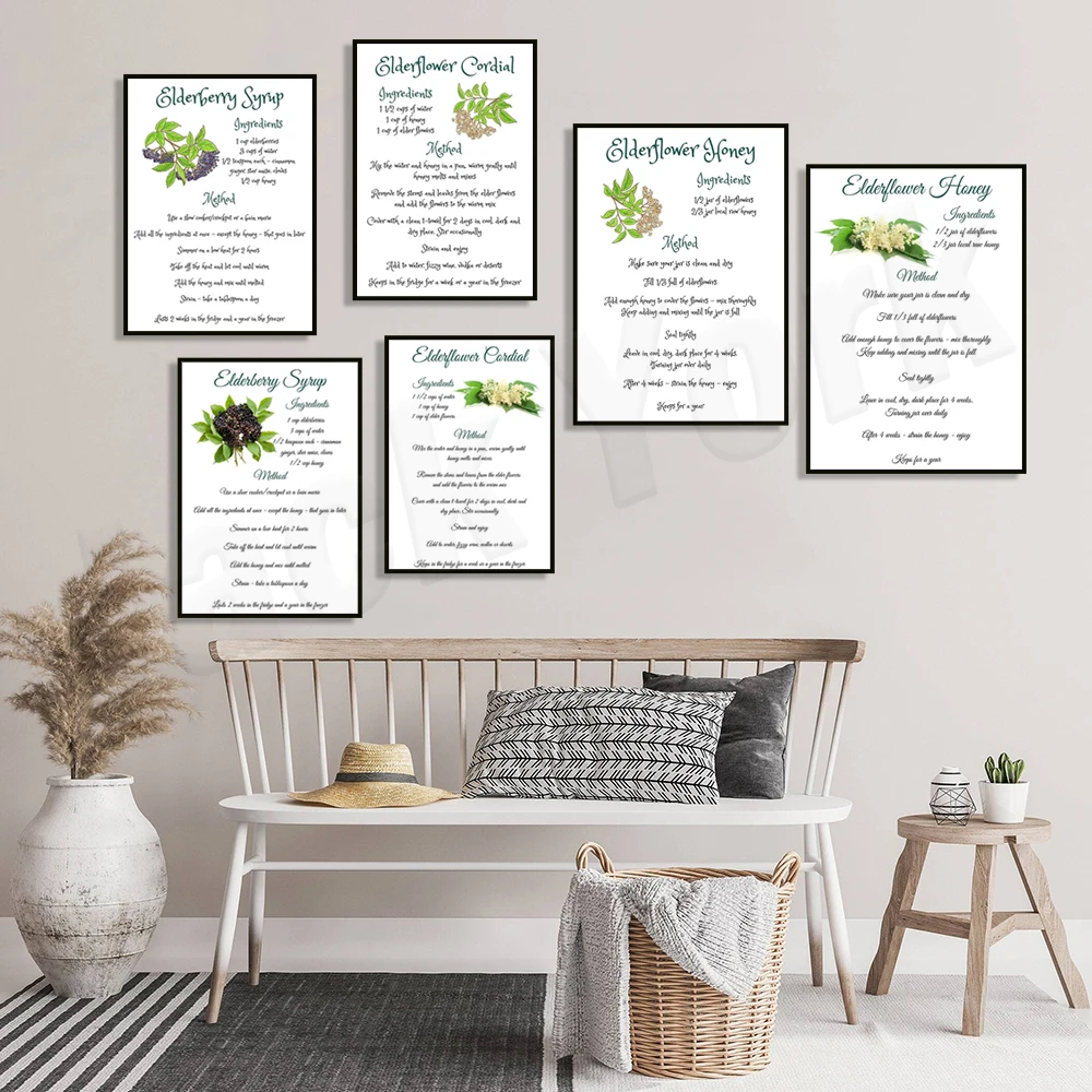 Elderflower honey recipe, elderflower cordial recipe, elderberry syrup recipe, botanical poster canvas print