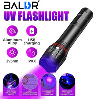 BALDR S482 Mini LED UV Flashlight 395nm TYPE-C Rechargeable UV Light Portable Ultraviolet Torch for Pet Urine Stain Detection