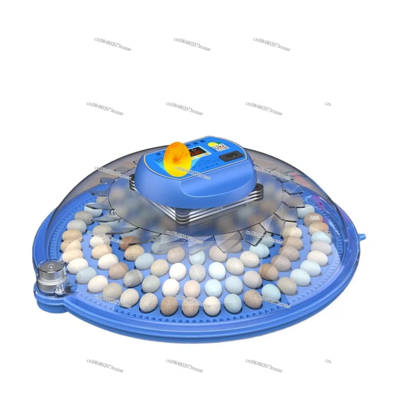 

Small Household Little Flying Saucer Automatic Egg Incubator, Chicken, Duck, Rutin, Incubator