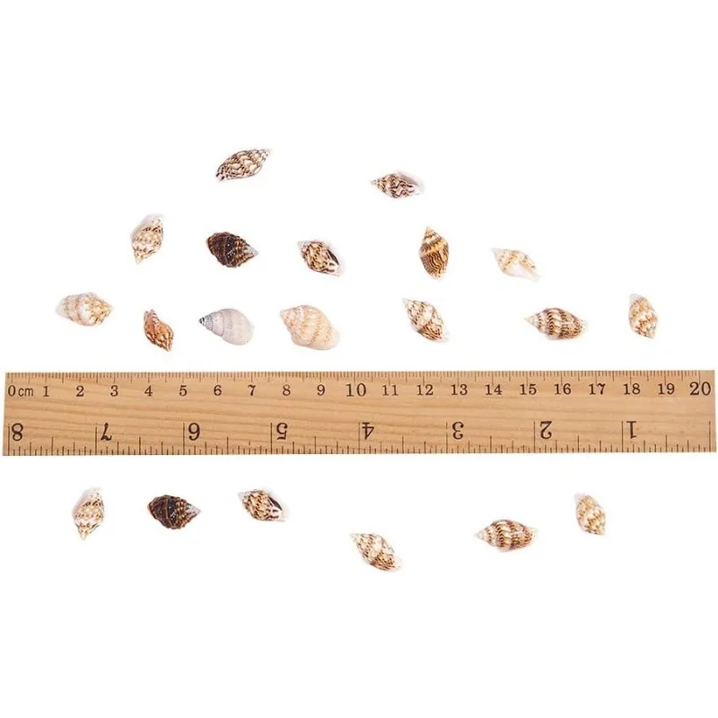1500pcs Mixed Ocean Sea Shells Natural Seashells Spiral Shell Beads for Fish Tank Home Decor Beach Theme Party Candle Making