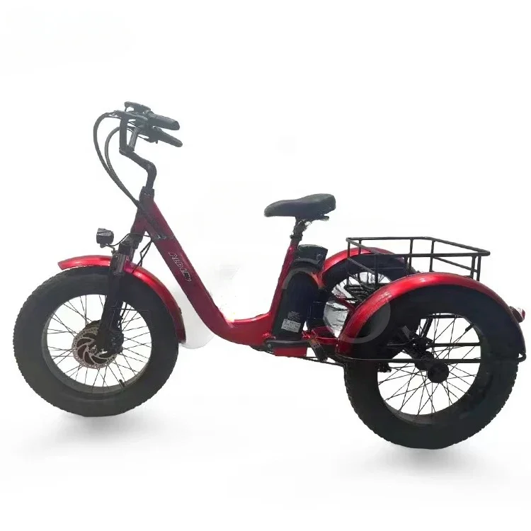 20 Inch Electric Trike 750W