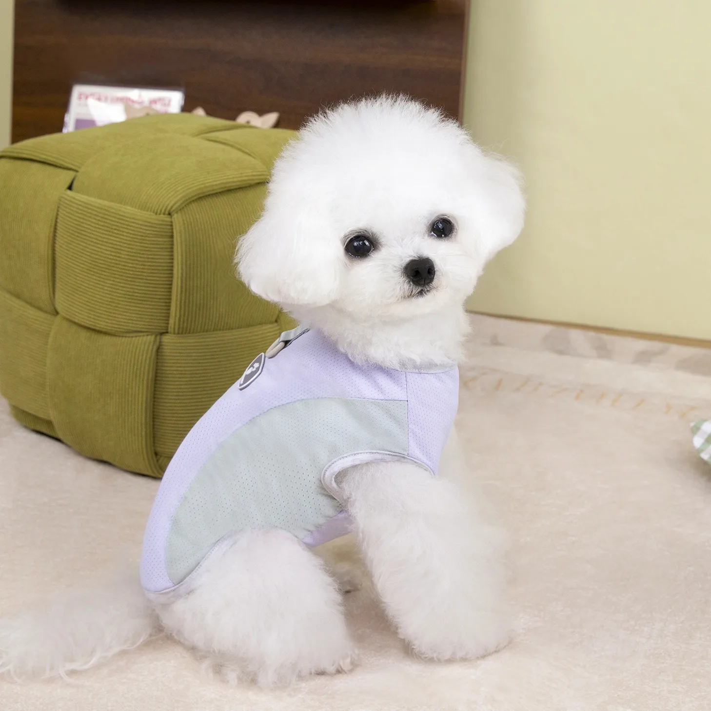

Ice Silk Mesh Pet Vest Summer Teddy Clothes Than Bear Double Color T-shirt Small and Medium-sized Dog Two Legs Clothes