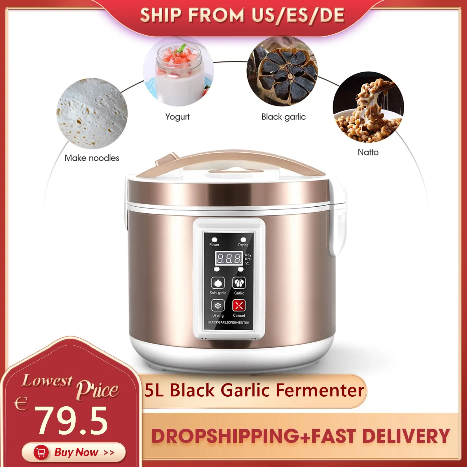 5L Black Garlic Fermenter Automatic Household Black Garlic Fermenting Machine DIY Zymolysis Pot Natto Yogurt Wine Maker 90W 220V