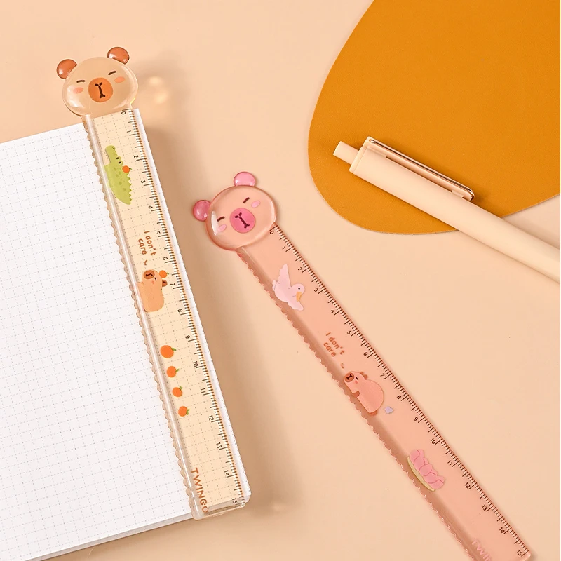 Mr. Paper, Creative Acrylic Ruler, Student Specific Drawing and Measuring Ruler, Stationery Supplies