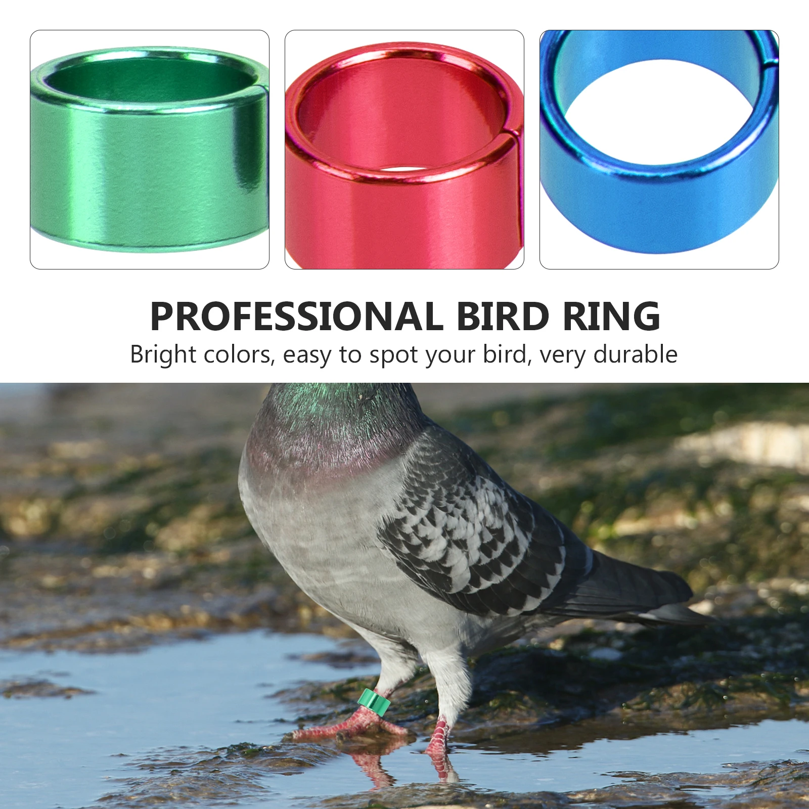 

18 Pcs Colorful Identification Rings Bird Leg Bands Made of Durable Aluminum for Pigeons Parakeets Cockatiels Multicolor Pet