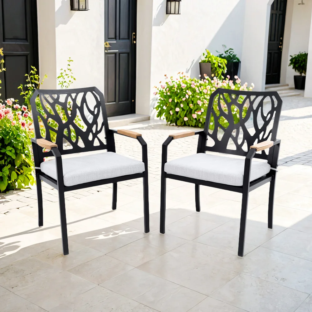 

YQXH Outdoor Patio K/D Aluminum Stationary Dining Chairs 2PCS with Outdoor-grade Sunbrella Fabric Cushions, Branch-Like Backres