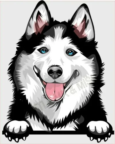 

For HUSKY Peeking Dog Breed Colour Window Wall Laptop Mug Sticker w/proof