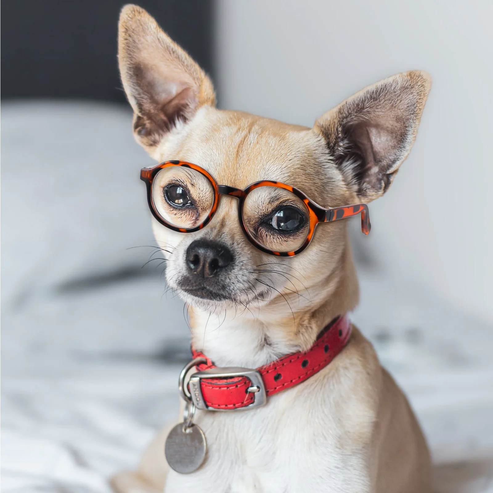 

4Pcs Plastic Cat Sunglasses Transparent Fashion Lightweight Glasses for Dog Cat Photo Props Eye Protection Cosplay