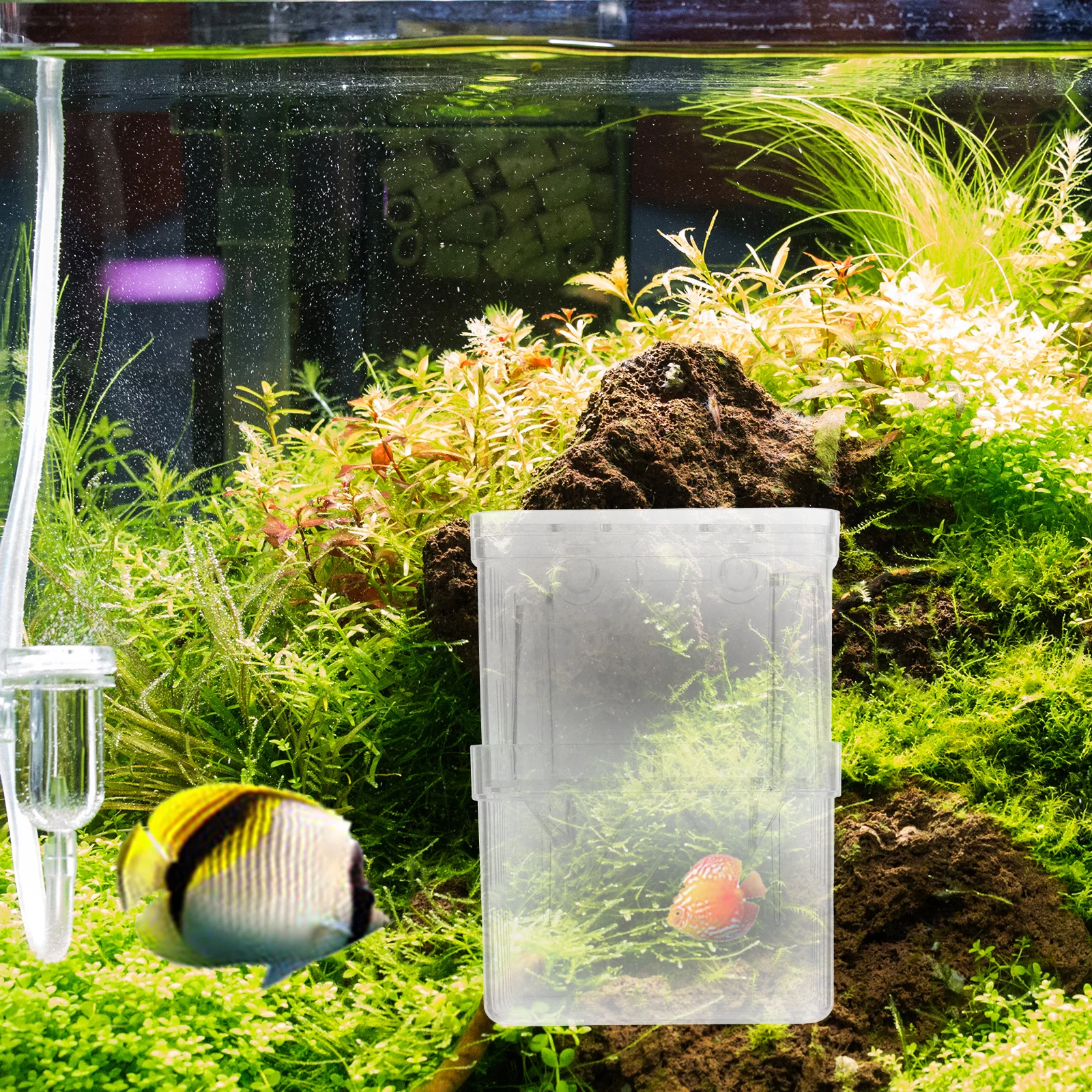 

4pcs Aquarium Isolation Box Fish Breeding Box Compact Tank Hatchery Incubator Easy Install Remove Juvenile Fish Protection Guppy