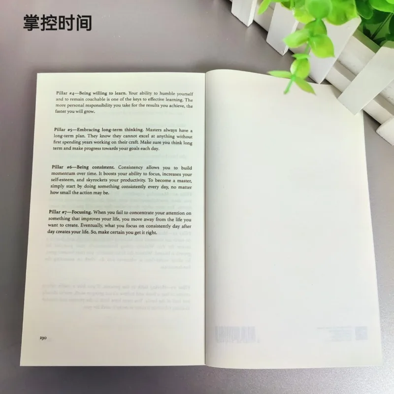 Мастер свое время Thibaut Мерісс, Контроль свое время, повышение личного роста и база знаний, полезные подарки