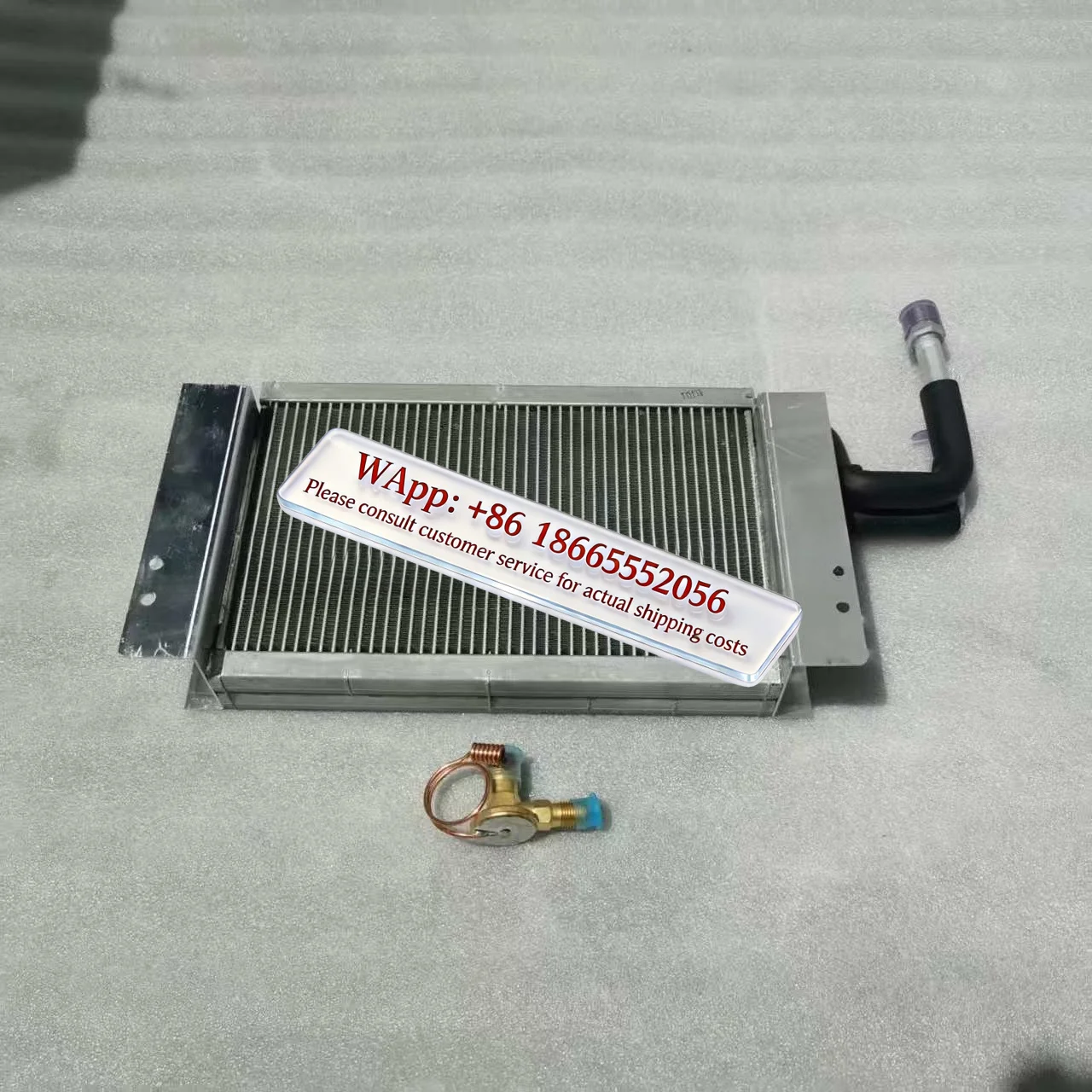 WG1671820027 Evaporator core with valve