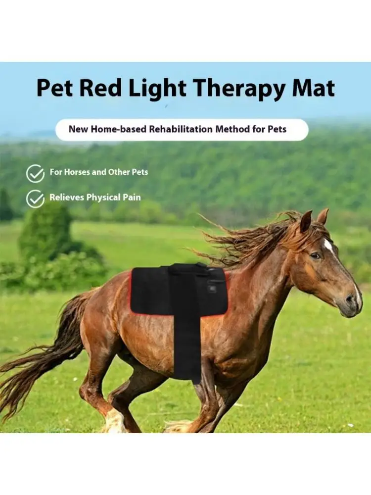 

R6FE Подставка для терапии с задней подсветкой для лошадей Мягкая удобная конструкция для восстановления мышц Машинная стирка за