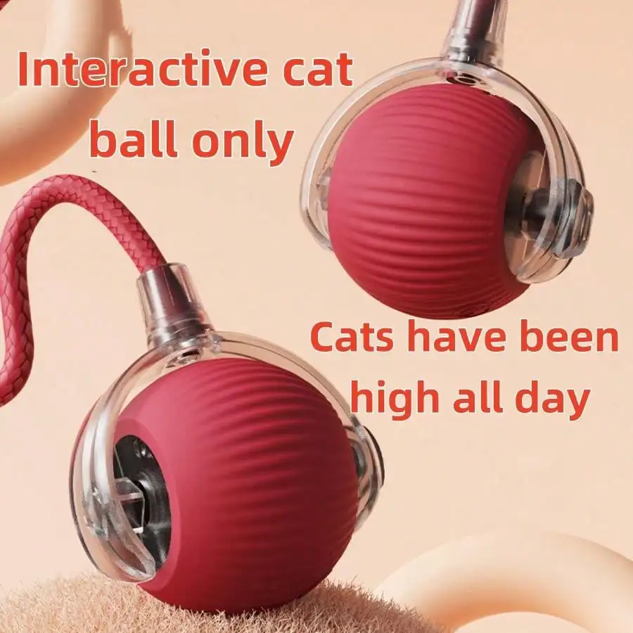 Kimpets Interactive Cat Toys Ball Auto Electric Rolling Ball Toys for Cats/Kitty Pets Smart Automatic Teaser USB Rechargeable