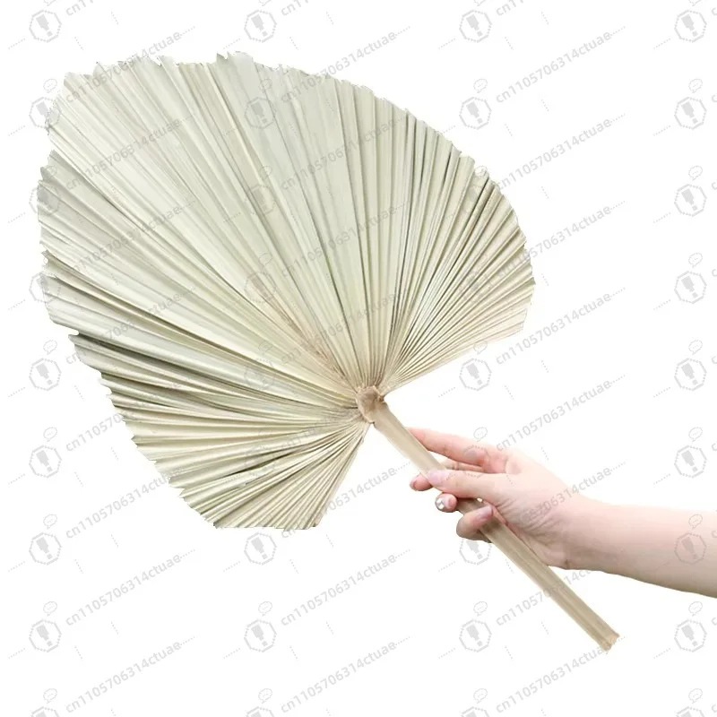 Yunnan dried flower pink dried palm leaf natural processing dyeing preserved palm leaf wedding house party