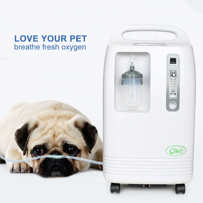 Olive High Purity 7l 3l 5l Vet Oxygen Concentrator Veterinary 10 Liter Oxygenerator for Pet Hyperbaric Oxygen Chamber