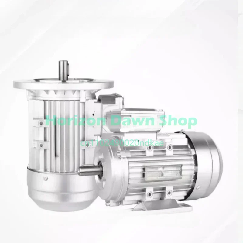Three-Phase Copper Core Aluminum Asynchronous Motor 380V 24 Axis