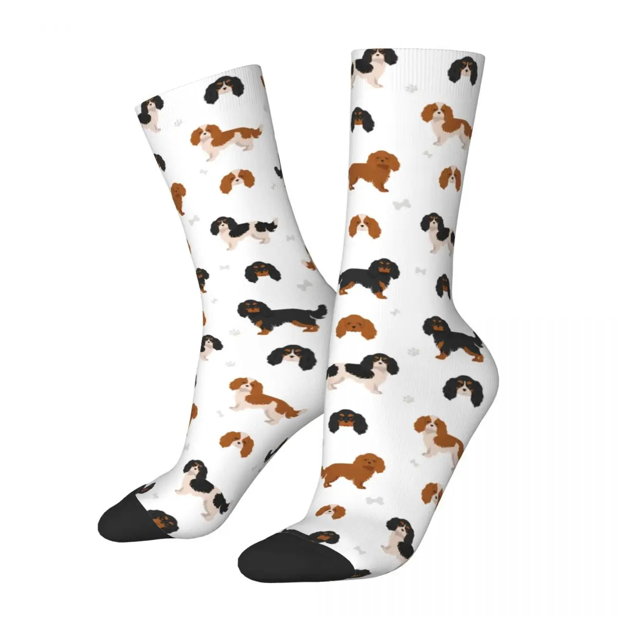 Fashion Cavalier King Charles Spaniel Skateboard Socks Cute Animal Dog Polyester Long Socks for Women Men