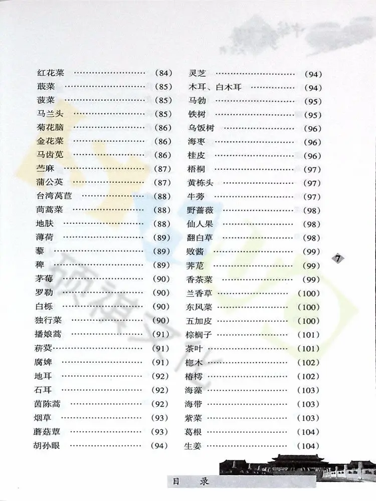 El gran libro de dieta Medicinal china