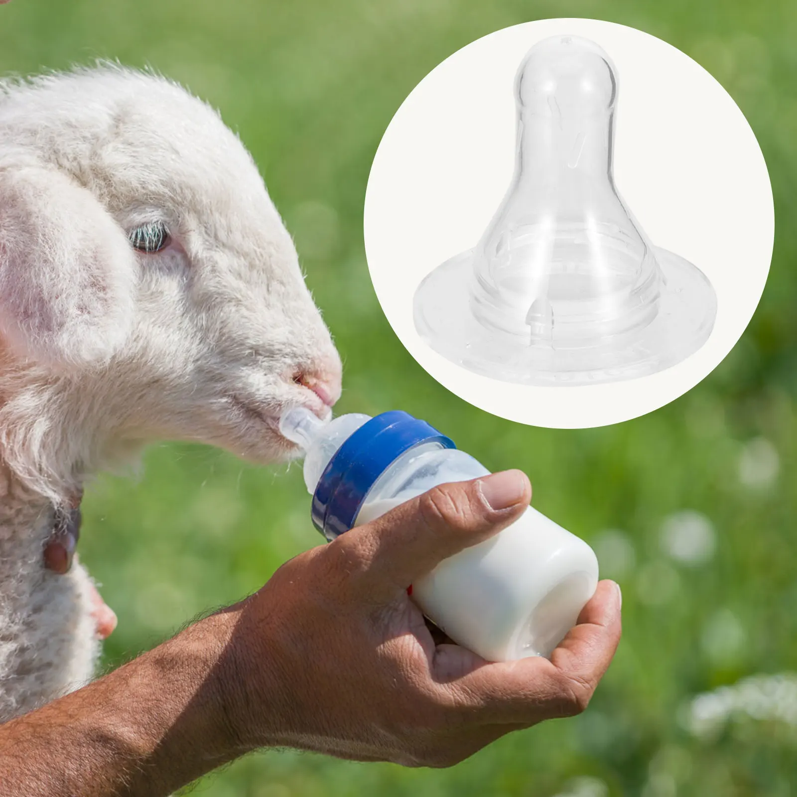 

10pcs Calf Milk Pacifier Nipples Feeding Bottle Lamb Teats Silicone Sheep Goat Cow Animal Nursing Supplies Durable Farm