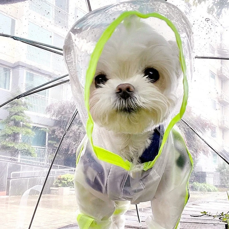 Multi Styles Waterproof Dog Raincoat Transparent Cosplay Dinosaur Animal Pet Travel Supplies Candy Color Outdoor Dog Clothes