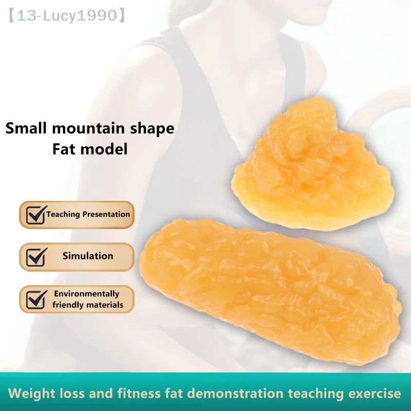 الدهون طبق الاصل نموذج الأنسجة الدهنية جسم الإنسان الدهون نسخة 1lb نموذج توضيحي الأنسجة الدهنية البشرية لدورة العلوم أخصائي التغذية #2
