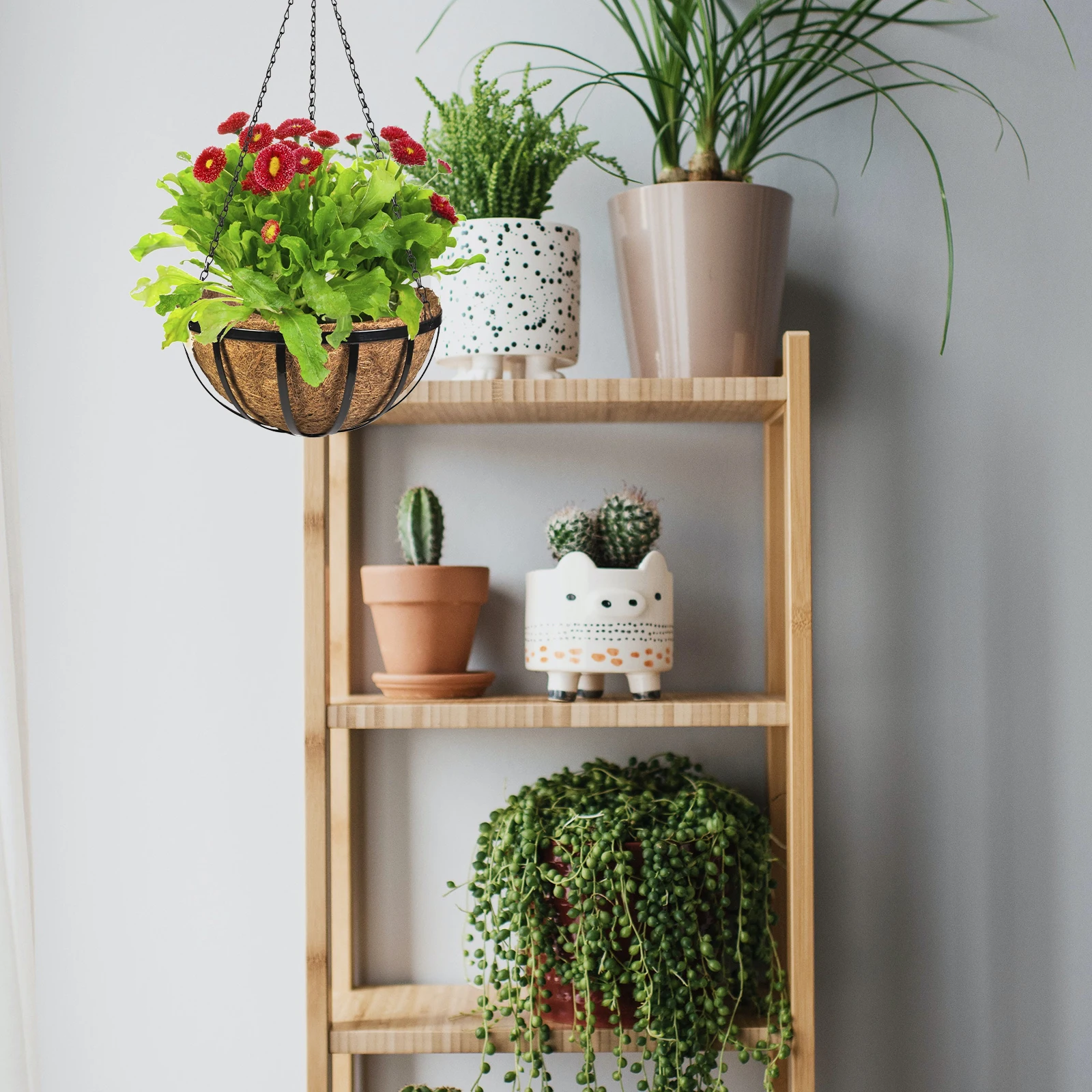 

5Sets Durable Coconut Fiber Planter Liner Half Ball Shape Hanging Basket Liner for Hotel Indoor Outdoor Plant