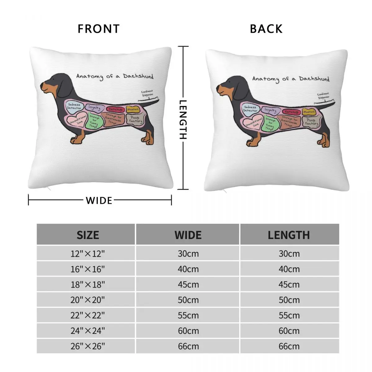 Anatomy Of Dachshund Square Pillowcase Polyester Linen Velvet Creative Zip Decor Bed Cushion Cover 18