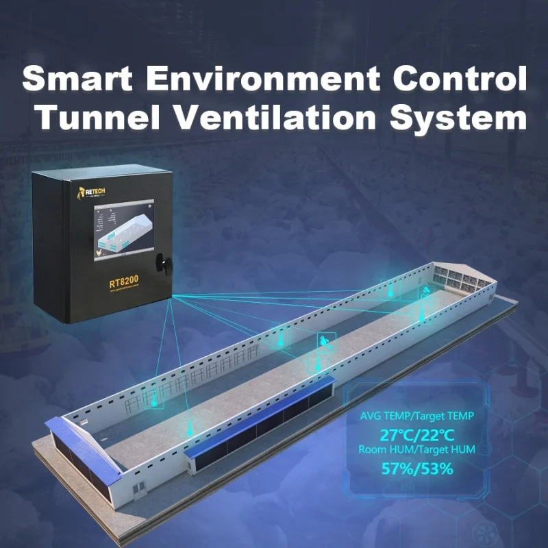 自動鶏舎ケージ養鶏設備