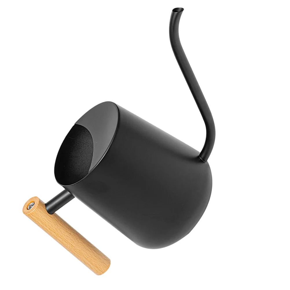 

Stainless Steel Watering Can 1000ml Black Wood Handle Long Spout for Plants Flowers Succulents for indoor