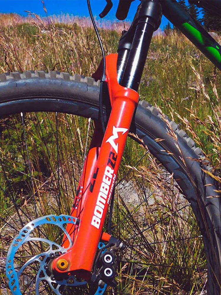 AliExpress WORMS For Front Fork Decals MTB Road Bicycle Stickers Racing Cycling  DIY Protect Colorful Film Kit Bike Accessories 20.5cm