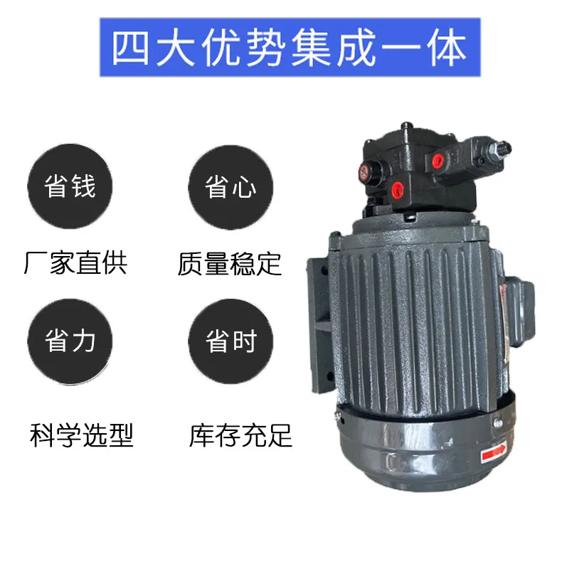 Hydraulic motor plug-in oil pump motor 0.75KW/1.5KW/2.2KW with VP20/VP15/VP30