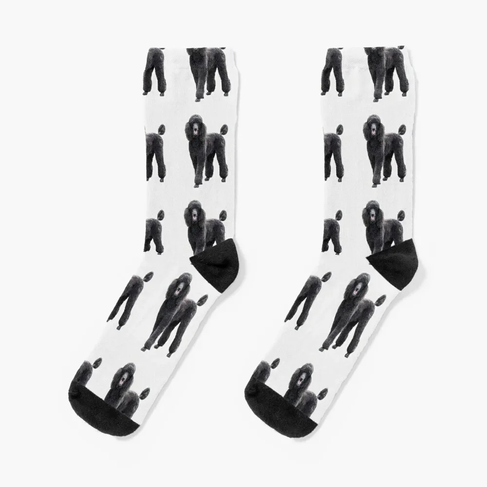 

Poodle Standard Black Cute elegant puppy dog Socks Stockings compression retro summer Ladies Socks Men's