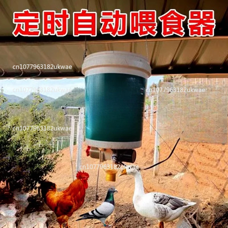 

Chicken automatic feeding, chicken feeder, duck feeder, timed unloader, remote artifact
