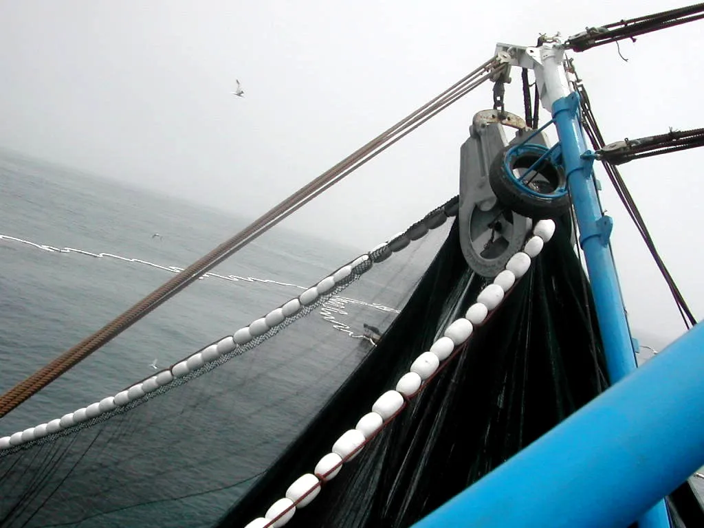 Customized Power Block for Fishing Boat Marine Supplies with Optional Pulley Block and Press Wheel Different Sizes Available