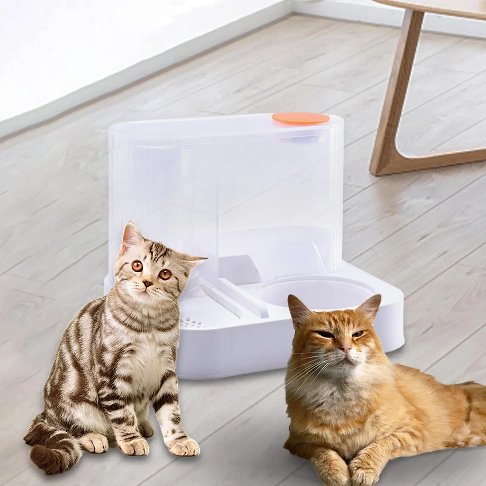 Cat Feeder and Water Dispenser, Pet Feeding Station,Food Bowl Cat Dog Dishes 2 in 1 Dog Feeder and Waterer for Dogs, Cats