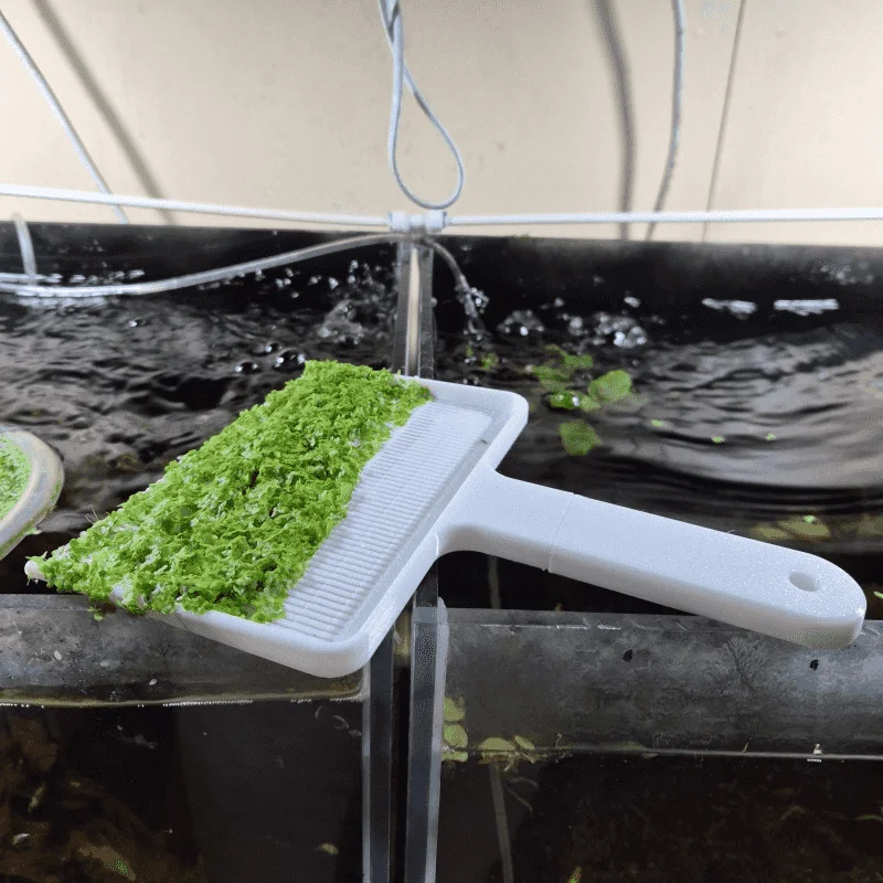 Aquarium-Wasserlinsen-Skimmer-Schaufel zur Reinigung und Entfernung von schwimmenden Pflanzen im Fischbecken – Detail 6