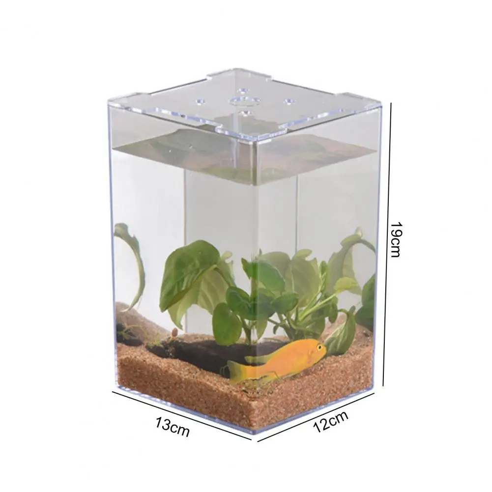 Fish Tank Broken-proof Fighting Fish Small Micro Landscape Tank Ventilation Holes Rectangular Ecological Tank for Home