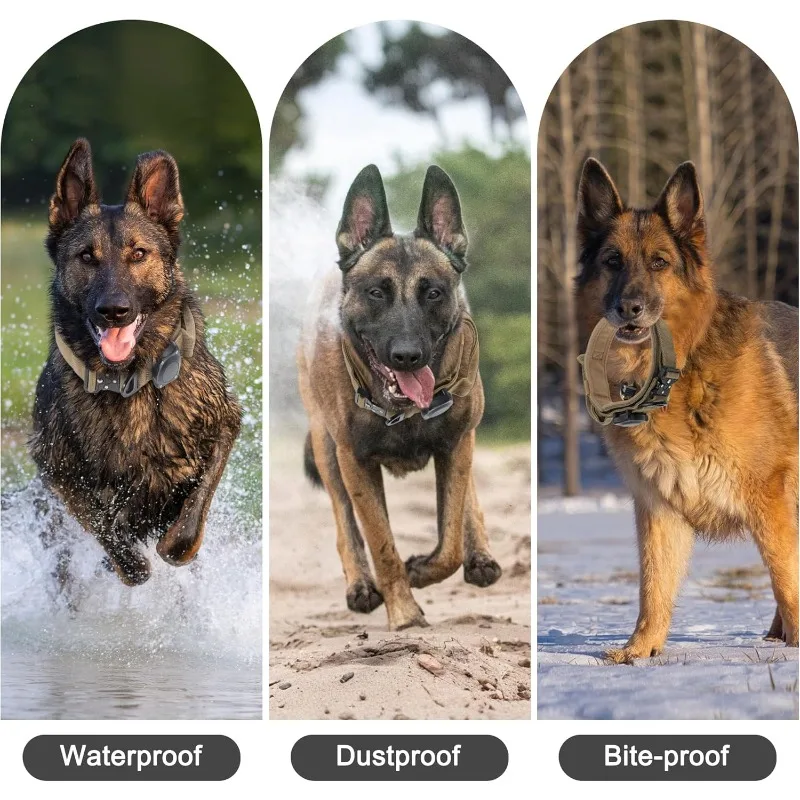 Thumbnail 4 - #47 Puppy Training Collars Comparison Guide
