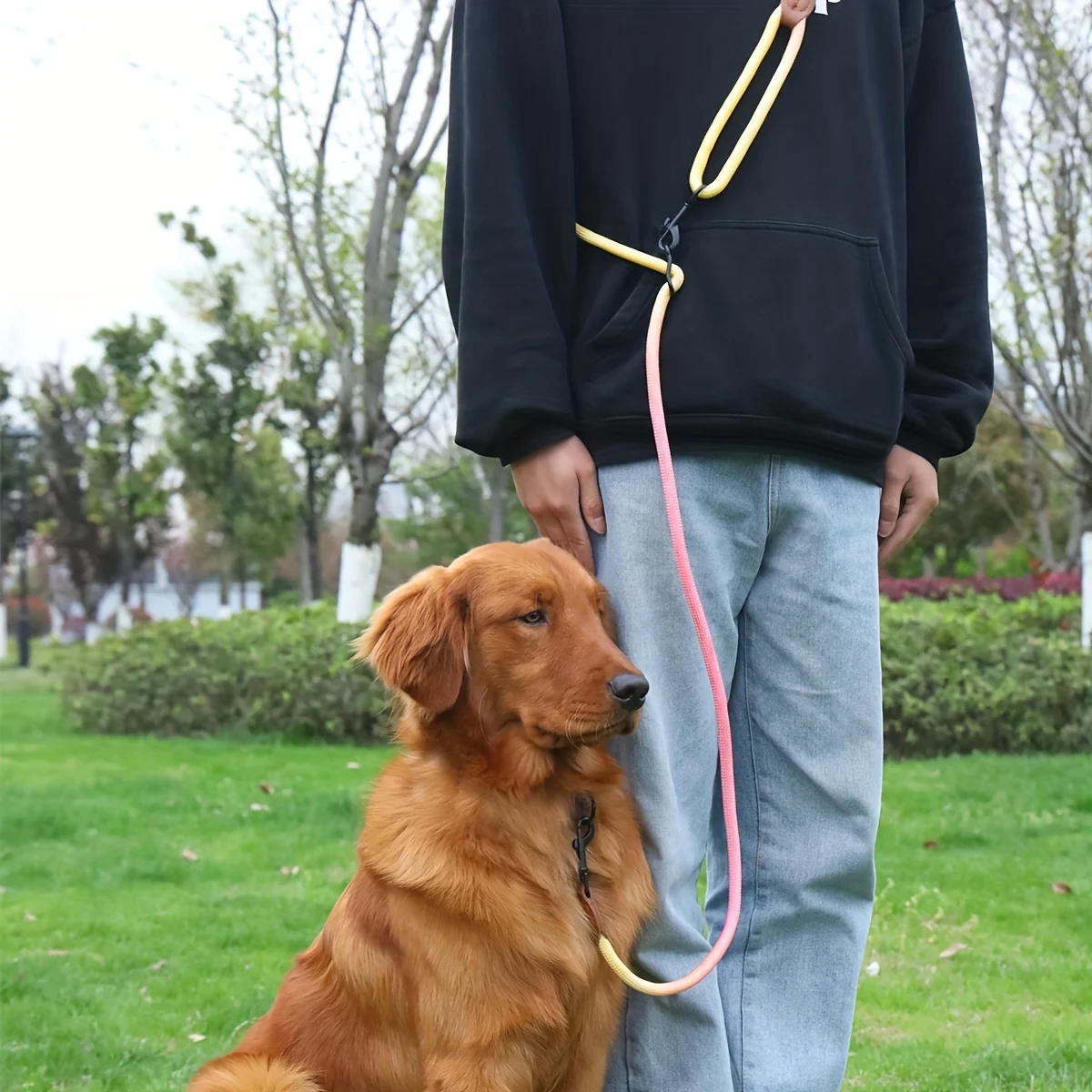 Correa de perro con gradiente de colores, cuerda redonda multifuncional para perros, Correa antideslizante para perros, correa cruzada para caminar