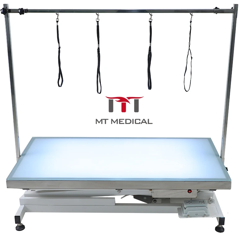 MT Medical Electric Lifting Pet Grooming Table With LED Light Grooming Table For Pet Hospital Or Pet Shop Hot Sale