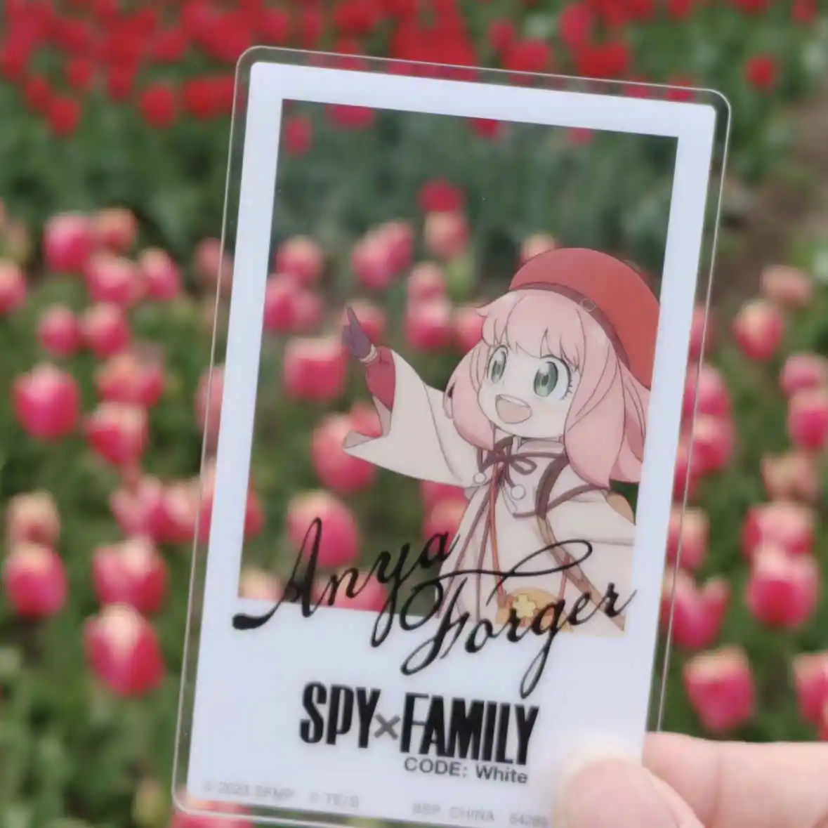 

New Anime SPY×FAMILY Anya Forger Anime Peripherals Cute Good-looking Photograph Originality Decorate Ornament gift