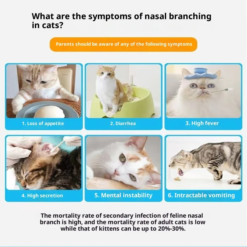 20 Pcs/box Cat Nasal Bronchitis FHV Herpes Virus Test Strip