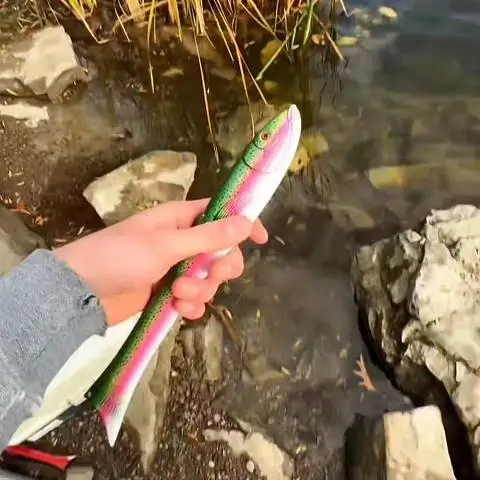 portable-fishing-rod-set-fish-shaped-dock-ice-fishing-pen-rod-taiwan-fishing-rod-hard-rod-stream-fishing-no-brand-chines